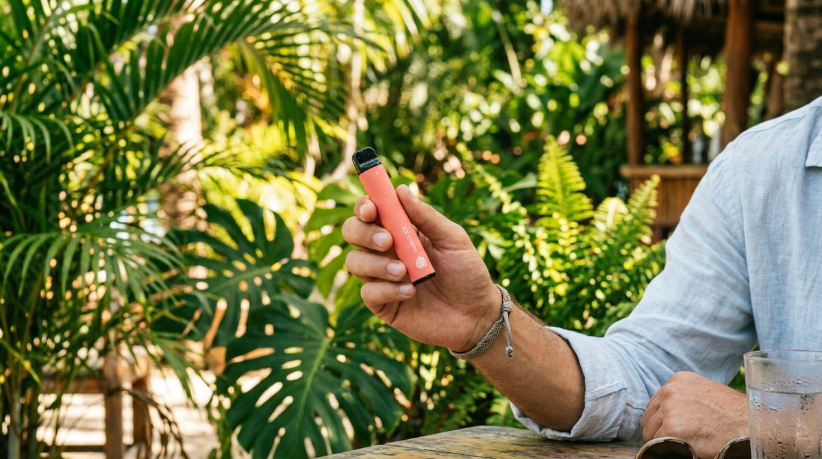 Guava Ice Vape – Best Tropical Cool Picks in USA