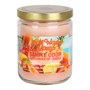 Smoke Odor Exterminator Candle