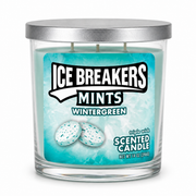 Smoke Odor Eliminator – Snack Scented Candles – 14 oz